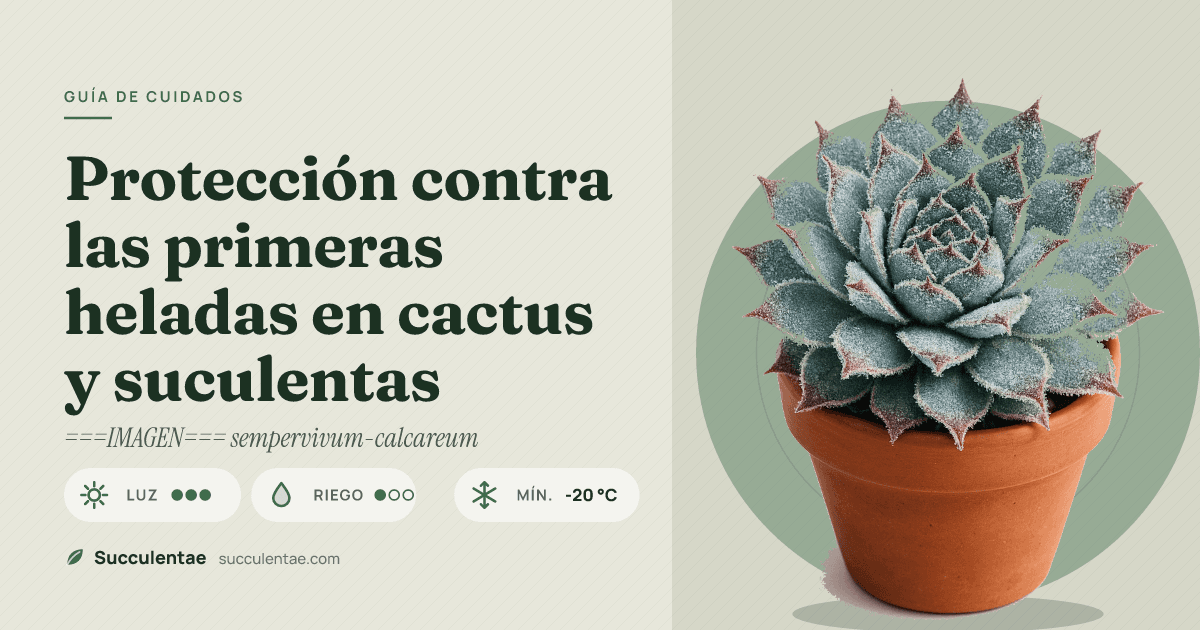Protección contra las primeras heladas en cactus y suculentas